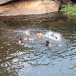 Chinnar-Swimming
