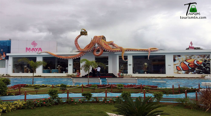 Why We Love India SeaShell Museum ? (And You Should ,Too!) India Seashell Museum, Mahabalipuram Museum