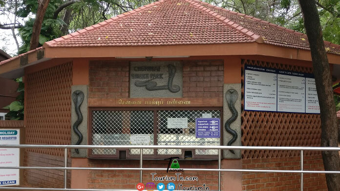 Chennai Snake Park - Chennai tourist places