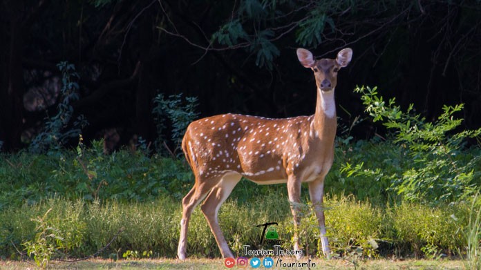 Gunidy National Park - Chennai Tourism