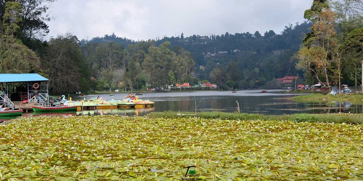 Beautiful View of Lake