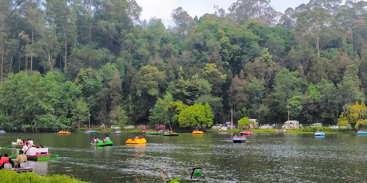 Boats in Kodai Lake