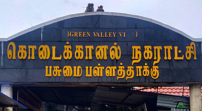 Suicide Point or Green Valley of Kodaikanal Green Valley Kodaikanal