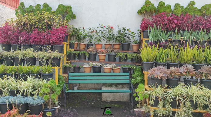 Rose Garden Kodaikanal Kodaikanal Rose Garden