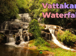 Mesmerizing view of Vattakanal Waterfalls