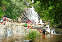 Top 10 Waterfalls In Tamilnadu To Refresh In Water Monkey Falls Pollachi Tamilnadu