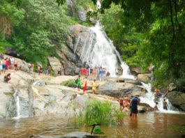 Monkey Falls Pollachi Tamilnadu