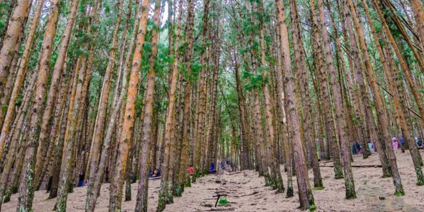 15 Beautiful Tourist Places In Kodaikanal TourismTN