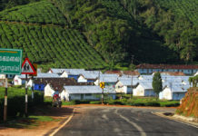 Ultimate Travel Guide To Megamalai Megamalai Tourism