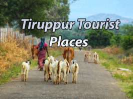 Tiruppur Tourist Places