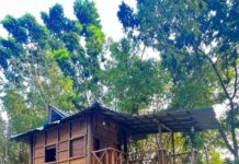 Thabasiya Resort Kuzhithurai Thabasiya Resort
