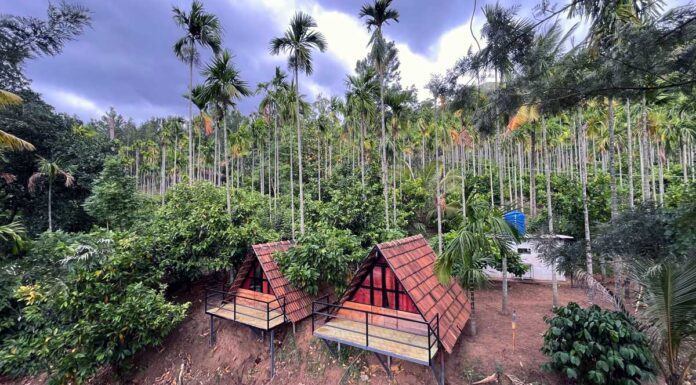 Marayoor Stay – Base Camp Adventures: Riverside Haven Base Camp Adventures Marayoor Stay